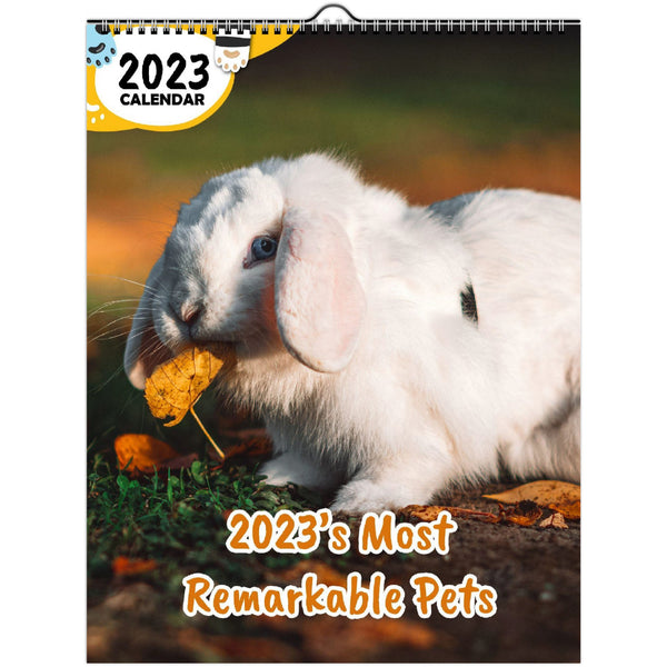 2023's Most Remarkable Pets: 2023 Wall Calendar