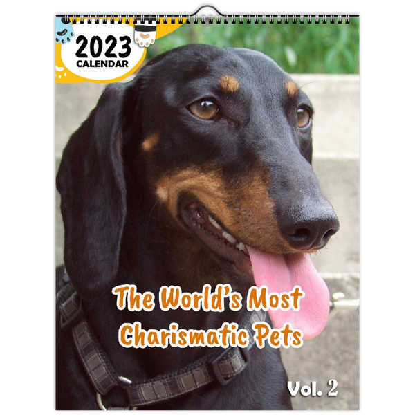 The World's Most Charismatic Pets Volume Two: 2023 Wall Calendar