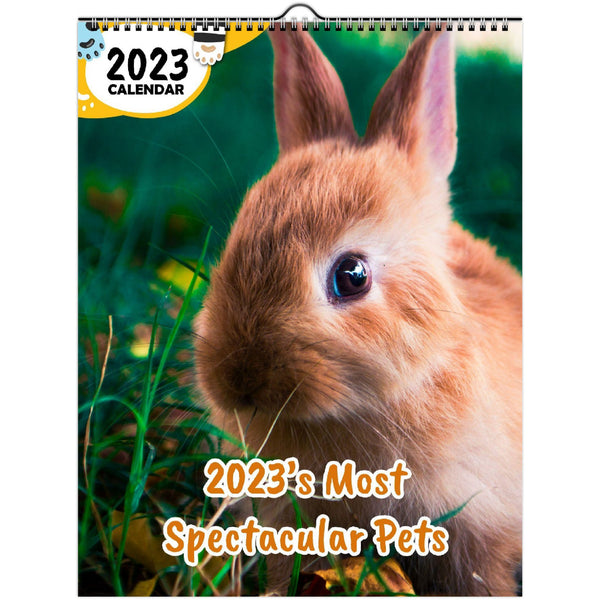 2023's Most Spectacular Pets: 2023 Wall Calendar