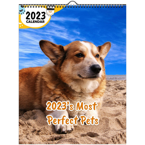 2023's Most Perfect Pets: 2023 Wall Calendar