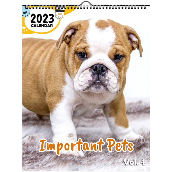 Important Pets Volume Four: 2023 Wall Calendar