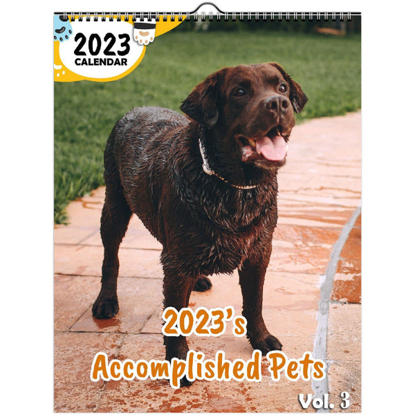 2023's Accomplished Pets Volume Three: 2023 Wall Calendar