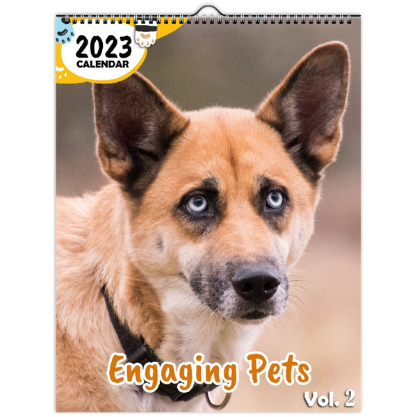 Engaging Pets Volume Two: 2023 Wall Calendar