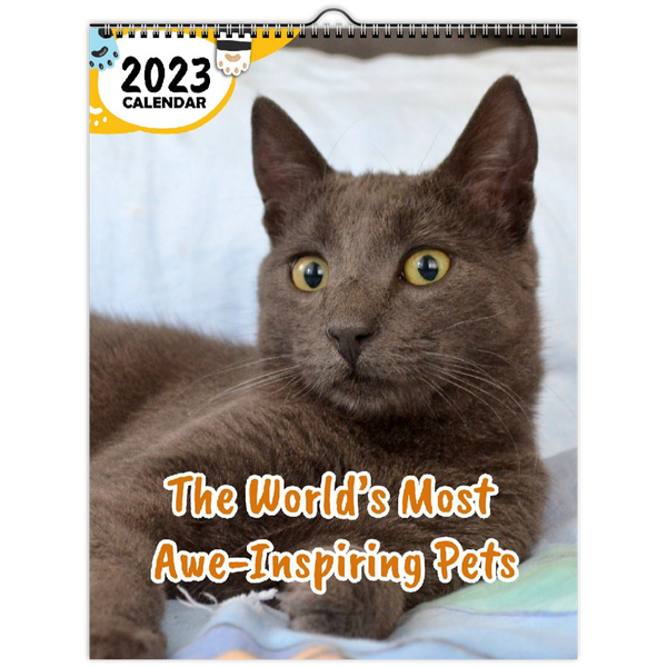 The World's Most Awe-Inspiring Pets: 2023 Wall Calendar