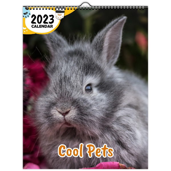 Cool Pets: 2023 Wall Calendar