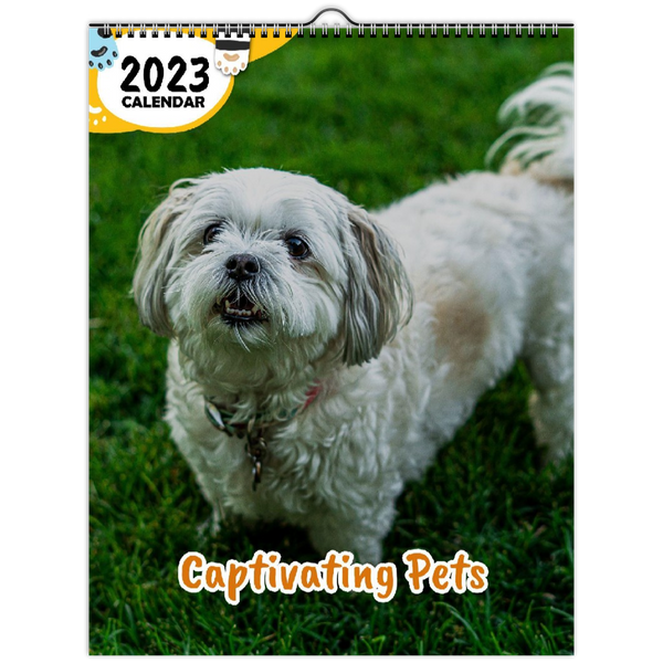 Captivating Pets: 2023 Wall Calendar