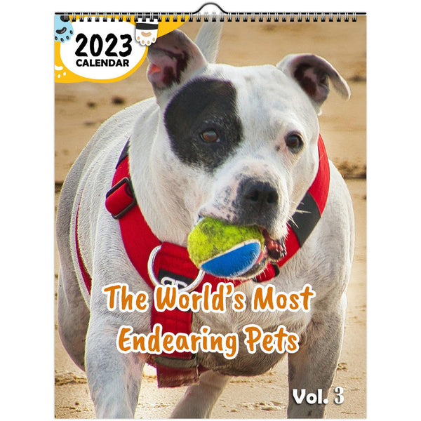 The World's Most Endearing Pets Volume Three: 2023 Wall Calendar