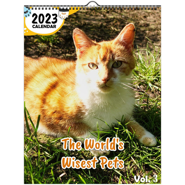 The World's Wisest Pets Volume Three: 2023 Wall Calendar