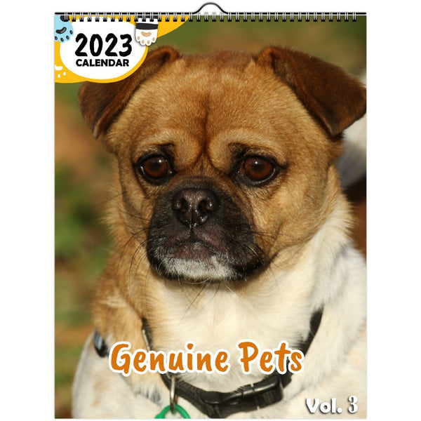 Genuine Pets Volume Three: 2023 Wall Calendar