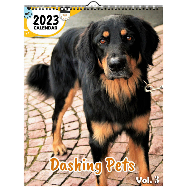Dashing Pets Volume Three: 2023 Wall Calendar