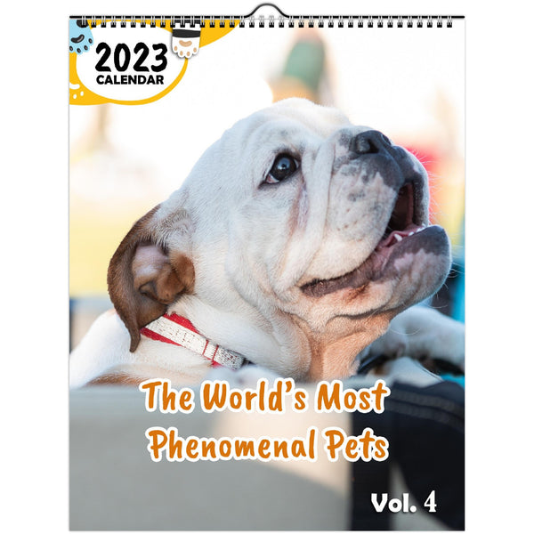 The World's Most Phenomenal Pets Volume Four: 2023 Wall Calendar