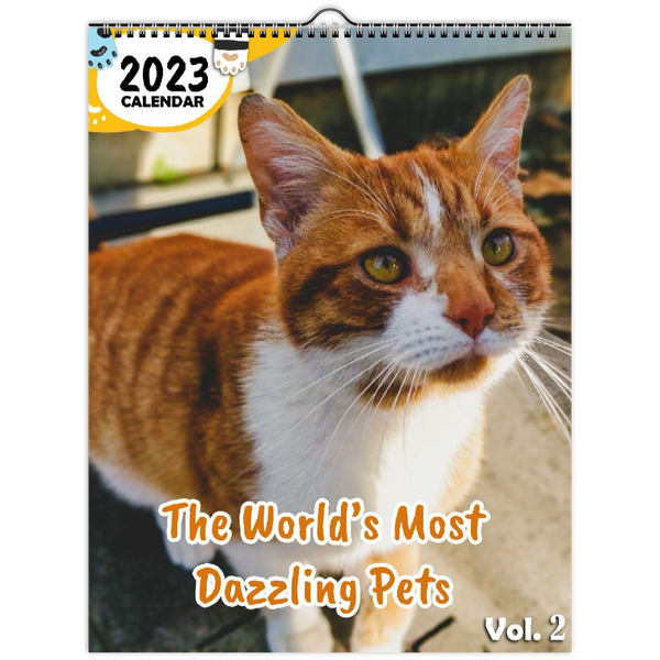 The World's Most Dazzling Pets Volume Two: 2023 Wall Calendar