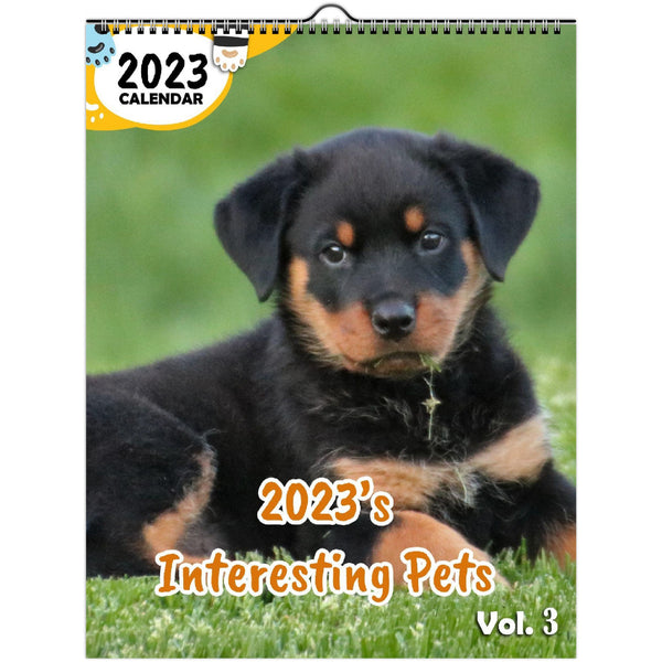 2023's Interesting Pets Volume Three: 2023 Wall Calendar