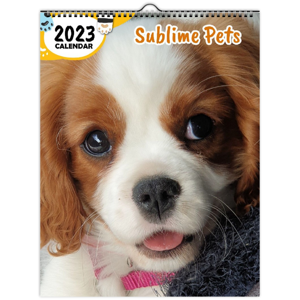 Sublime Pets: 2023 Wall Calendar