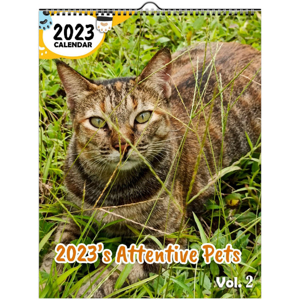 2023's Attentive Pets Volume Two: 2023 Wall Calendar