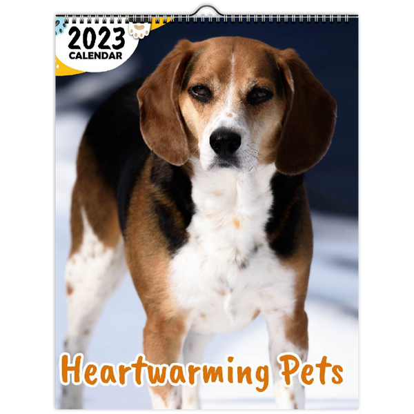 Heartwarming Pets: 2023 Wall Calendar