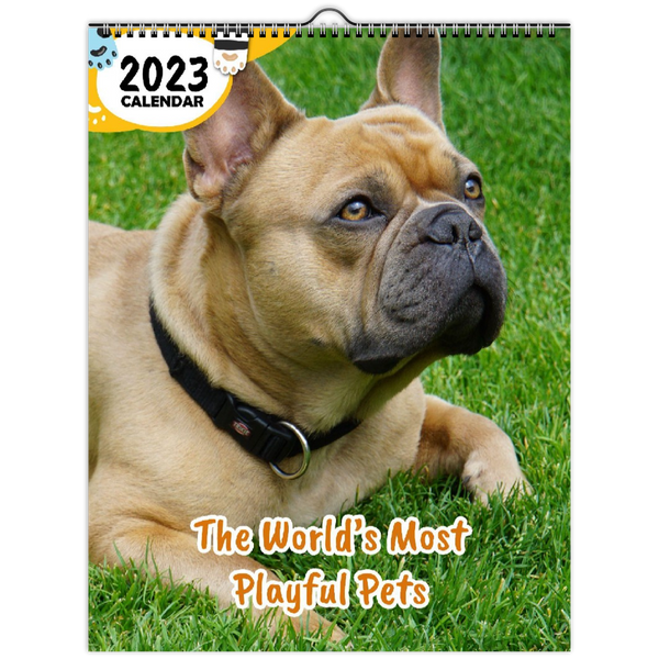 The World's Most Playful Pets: 2023 Wall Calendar