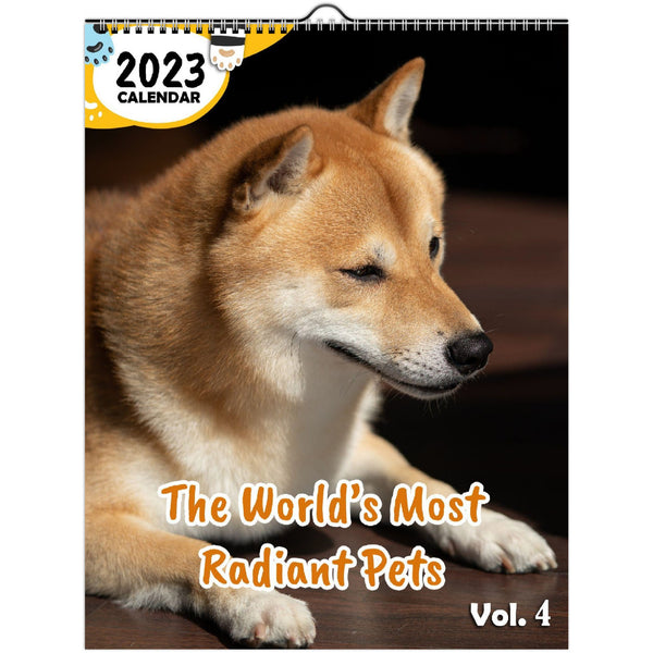 The World's Most Radiant Pets Volume Four: 2023 Wall Calendar