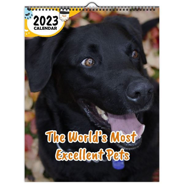 The World's Most Excellent Pets: 2023 Wall Calendar