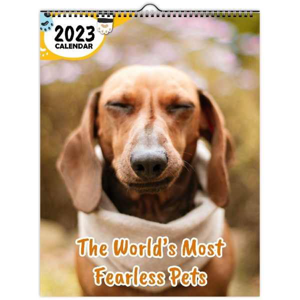 The World's Most Fearless Pets: 2023 Wall Calendar