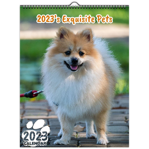 2023's Exquisite Pets: 2023 Wall Calendar