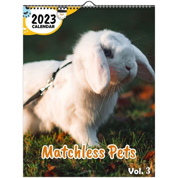 Matchless Pets Volume Three: 2023 Wall Calendar