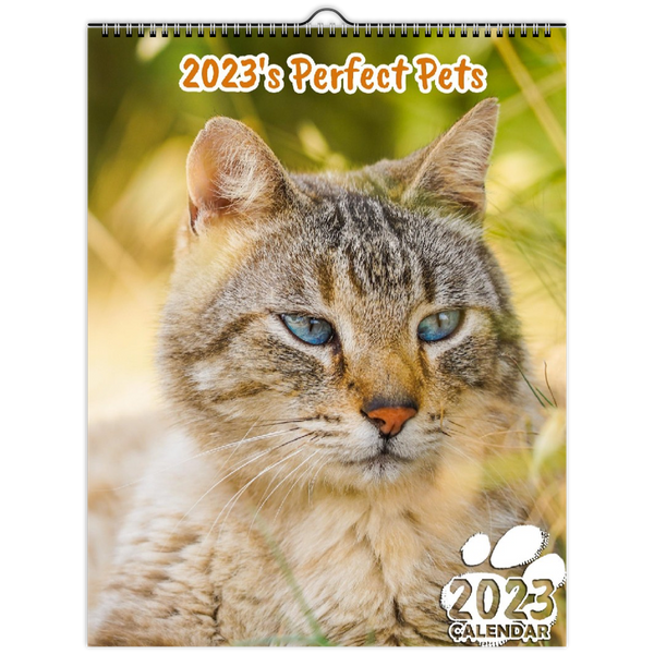 2023's Perfect Pets: 2023 Wall Calendar
