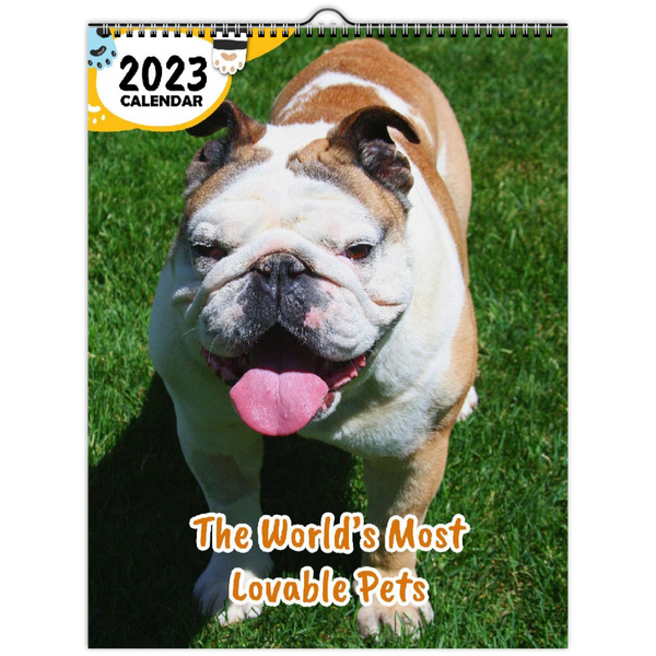 The World's Most Lovable Pets: 2023 Wall Calendar