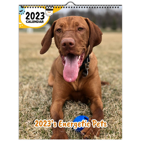 2023's Energetic Pets: 2023 Wall Calendar