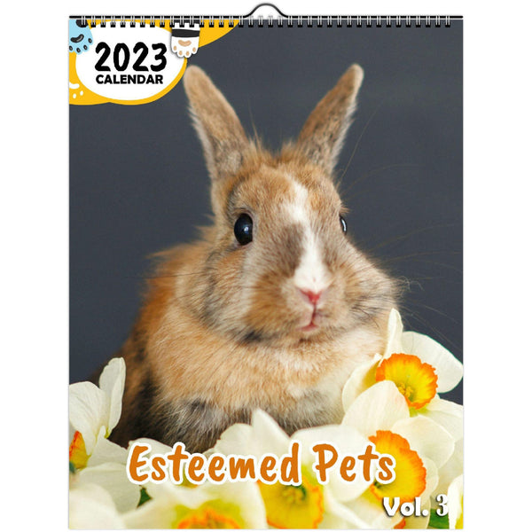 Esteemed Pets Volume Three: 2023 Wall Calendar