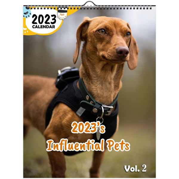 2023's Influential Pets Volume Two: 2023 Wall Calendar