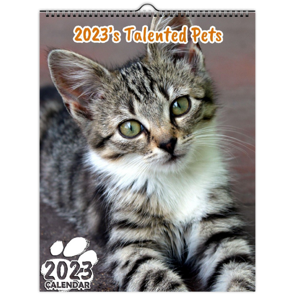 2023's Talented Pets: 2023 Wall Calendar
