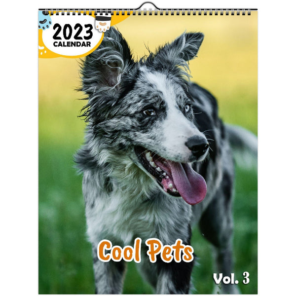 Cool Pets Volume Three: 2023 Wall Calendar