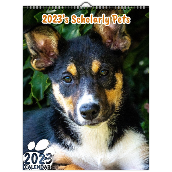 2023's Scholarly Pets: 2023 Wall Calendar
