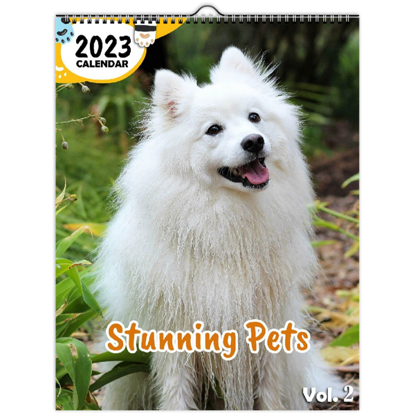 Stunning Pets Volume Two: 2023 Wall Calendar
