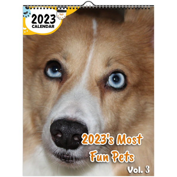 2023's Most Fun Pets Volume Three: 2023 Wall Calendar