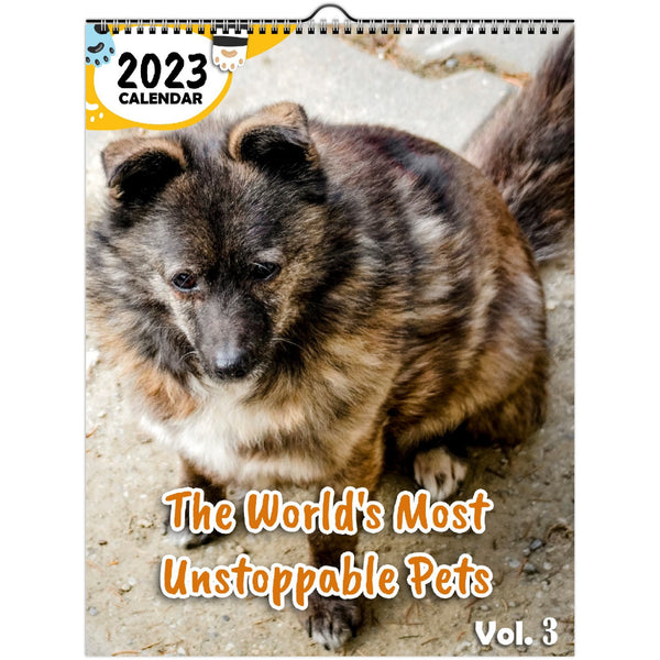 The World's Most Unstoppable Pets Volume Three: 2023 Wall Calendar