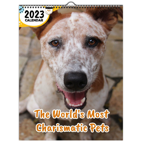 The World's Most Charismatic Pets: 2023 Wall Calendar