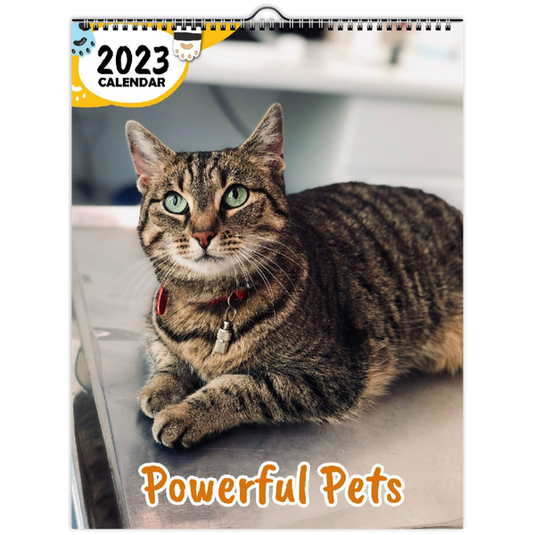 Powerful Pets: 2023 Wall Calendar