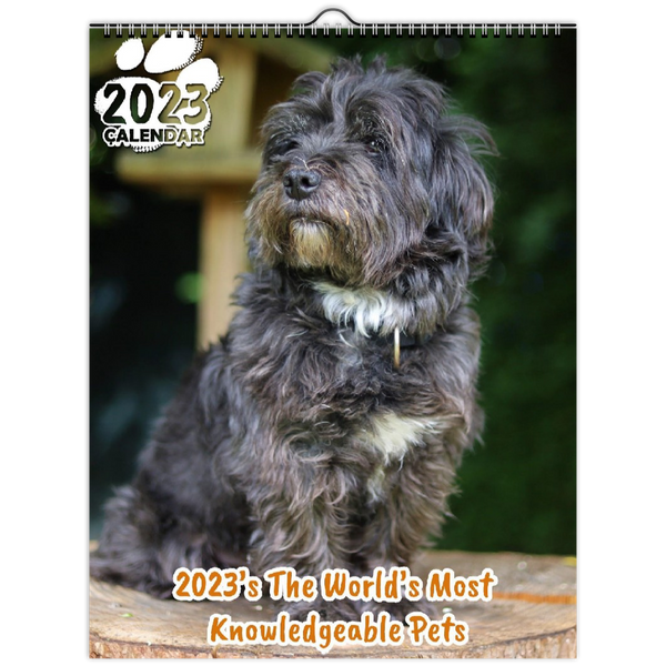 2023's The World's Most Knowledgeable Pets: 2023 Wall Calendar