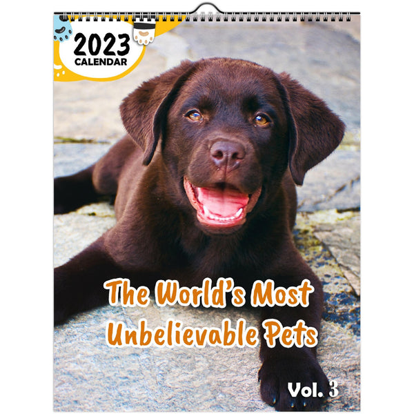 The World's Most Unbelievable Pets Volume Three: 2023 Wall Calendar