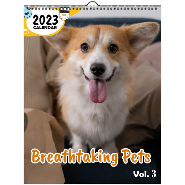 Breathtaking Pets Volume Three: 2023 Wall Calendar