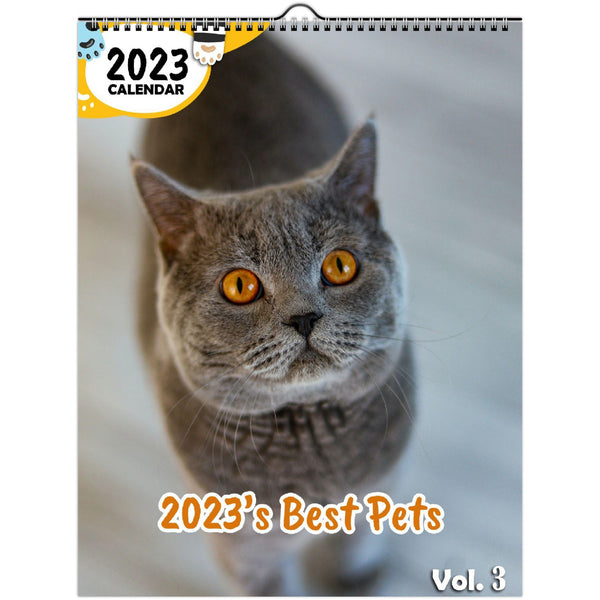 2023's Best Pets Volume Three: 2023 Wall Calendar