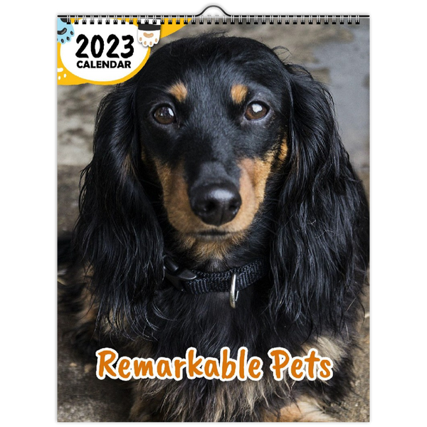 Remarkable Pets: 2023 Wall Calendar