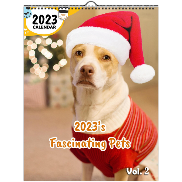 2023's Fascinating Pets Volume Two: 2023 Wall Calendar