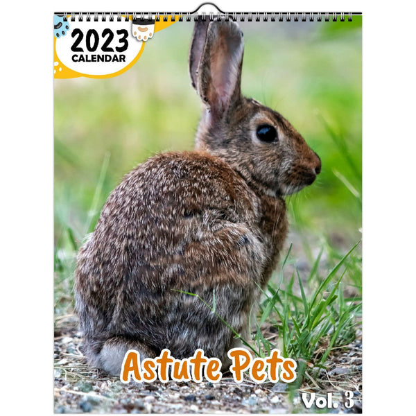 Astute Pets Volume Three: 2023 Wall Calendar