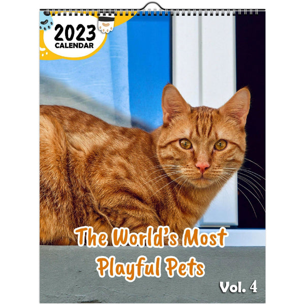 The World's Most Playful Pets Volume Four: 2023 Wall Calendar