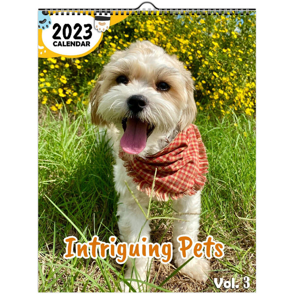 Intriguing Pets Volume Three: 2023 Wall Calendar
