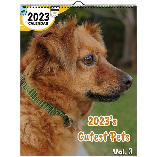 2023's Cutest Pets Volume Three: 2023 Wall Calendar