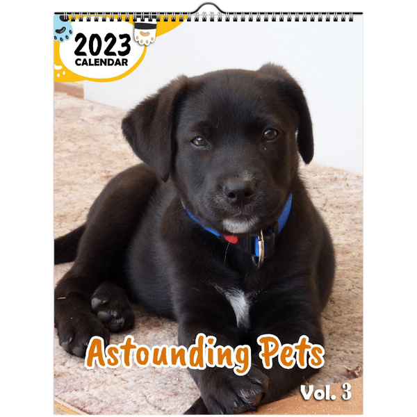Astounding Pets Volume Three: 2023 Wall Calendar
